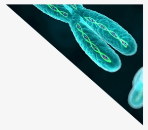 Momentum In Gene Therapy #3329207