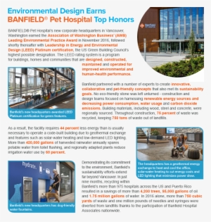 Art Layout - Sustainable Business #3329586