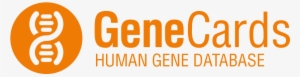 Gene Cards - Genecards Logo #3329617