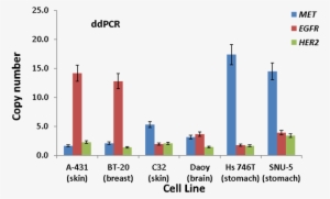 Illustration Of The Gene Copy Numbers For Met, Egfr, - Cancer Biomarker #3329690