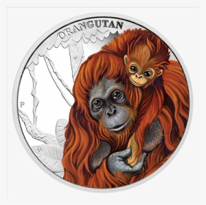 Enlarge - Silver Coin #3329701