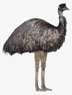 51, January 27, 2015 - Thumbnail #3329751