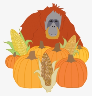 Artist In Residence - Orangutan #3330485