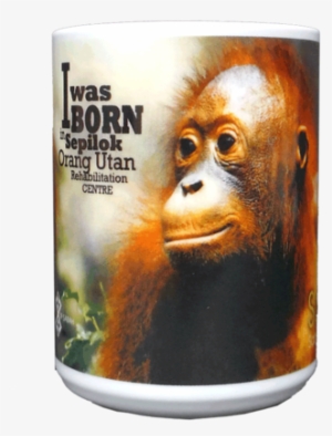 Dishwasher Safe & Microwave Safe - Orangutan #3330643