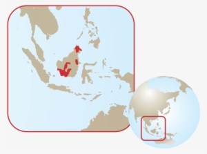 Bornean Orangutan - South East Asia Tourism #3330699