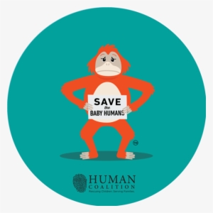 Orangutan Sticker - Orangutan #3331187