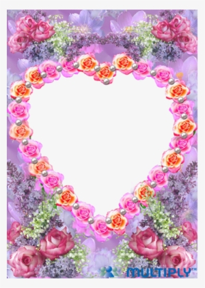 02 Sep 2010 - Garden Roses #3331318