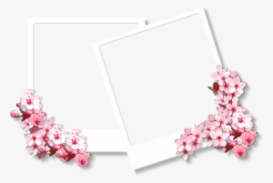 Veja Também Mais Molduras Pngs - Sakura Frame #3331435