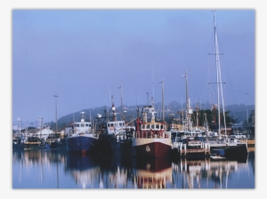 Fishing Boats At Lakes Entrance #3331994