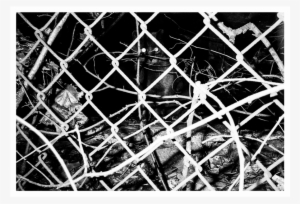 Reid Haithcock "winter Series - Cat #3332890