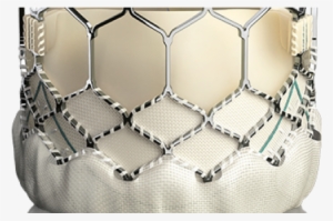 Thumbnail - Sapien 3 23 Mm #3332949