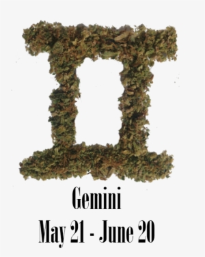 Stoner Gemini Monthly Horoscope - Cannabis #3333921
