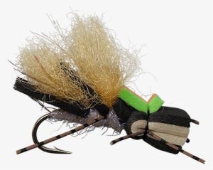 Insect #3333981