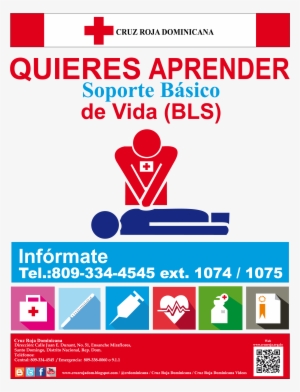 Curso Primeros Auxilios Cruz Roja #3334367