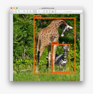 To View The Detections, Check The File Predictions - Object Detection Yolo #3336016