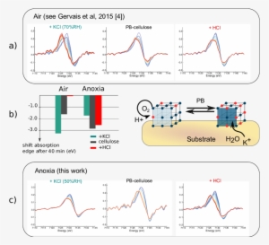 X Ray Photochemistry Of Prussian Blue Paper Samples - X-ray Absorption Near Edge Structure #3338057