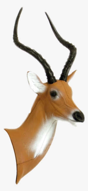 African Impala Head - Impala Archery Target #3338663