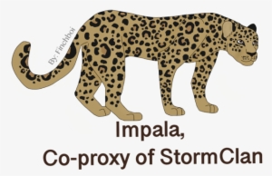 Impala, Co-proxy Of Sc #3338793