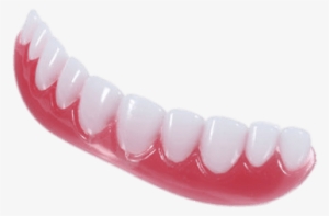 False Teeth Shiny Lower Denture #3338865 False Teeth Shiny Lower Denture #3338865