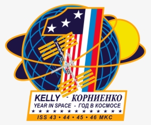 The One Year Crew Mission Patch - Nasa One Year Mission #3340724