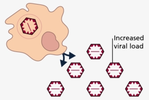 21 Pm 1411361 Den Imp 1/15/2016 #3340828