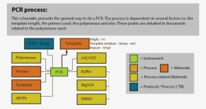 File - Pcr - Diagram #3341112