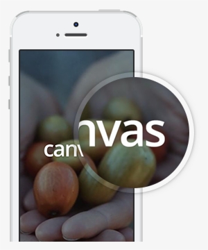 Friday, January 27, 2017 - Apple Ipad Family #3342248