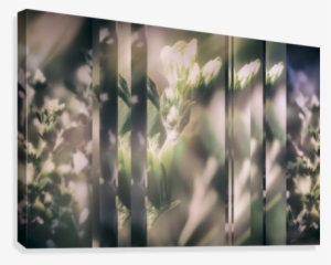 Wild Grass Collage Canvas Print - Artist #3343992