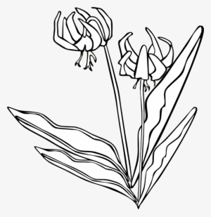 Original Png Clip Art File Wild Flower Svg Images Downloading #3344162