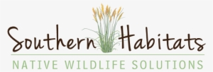 Southern Habitats #3344395