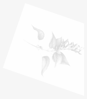 Push10 Enliven Push10 Enliven Modernize - Illustration #3345991