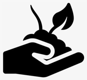 Hand With Growing Plant Vector - Growing Plant Png Icon Vector #3346069