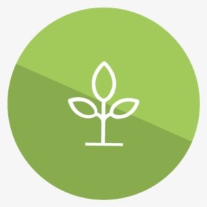 Spring Icon - Spring Semester Icon #3347131