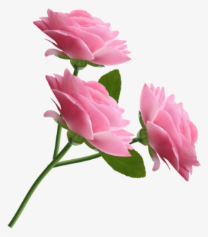 Free Clipart Png Flowers - 5 Flowers Clipart Png - Free Transparent PNG