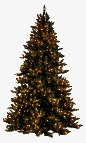 You Should Post 'reserved' And Then Edit The Image #3348078