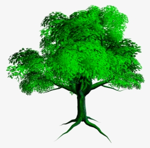 New Tree Png - Tree Full Hd Png #3348249