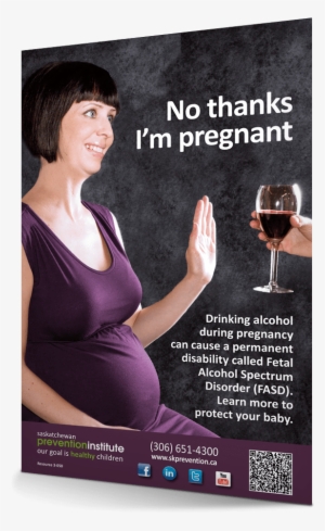 No Thanks I'm Pregnant - Pregnancy #3351447