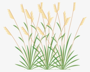 Icon 2 Weeds - Grasses And Weeds Clipart #3351717