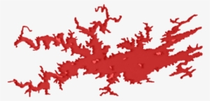 Geared 501 Airport Rd Hot Springs, Ar 71913 Time - Hot Springs Village #3355889