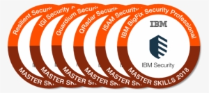 Badge Logo Graphic - Professional #3356214