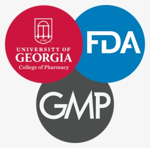 University Of Georgia Bulldogs 11 Oz. Mug | Black #3359276