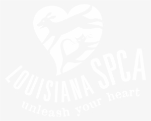 Nufenenpass, Sign #3362921