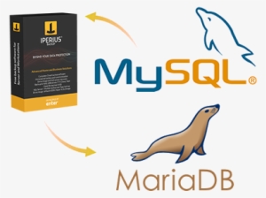 Iperius Backup Mysql - Mysql Icon Png #3363179