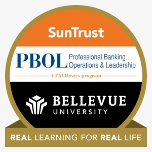 Professional Banking Operations & Leadership - One Bellevue Place #3363278