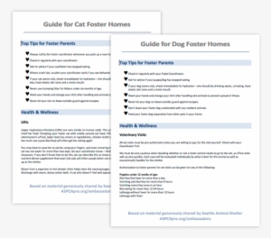 Customizable Guides For Cat & Dog Foster Homes - Pet Adoption #3363760