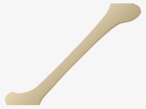 Bone Png Transparent Images - Kitchen Utensil #3365037