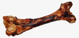 Cured Dino Bone - Dino Bone #3365115