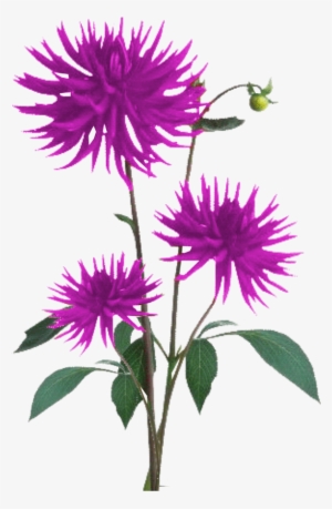 Aster Png Free Download - Flower Plant Texture Png #3365242