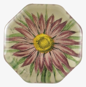 Pink Aster Pink Aster - Gazania #3365609