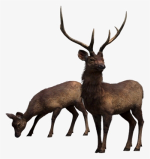 Far Cry - Far Cry 4 #3365730